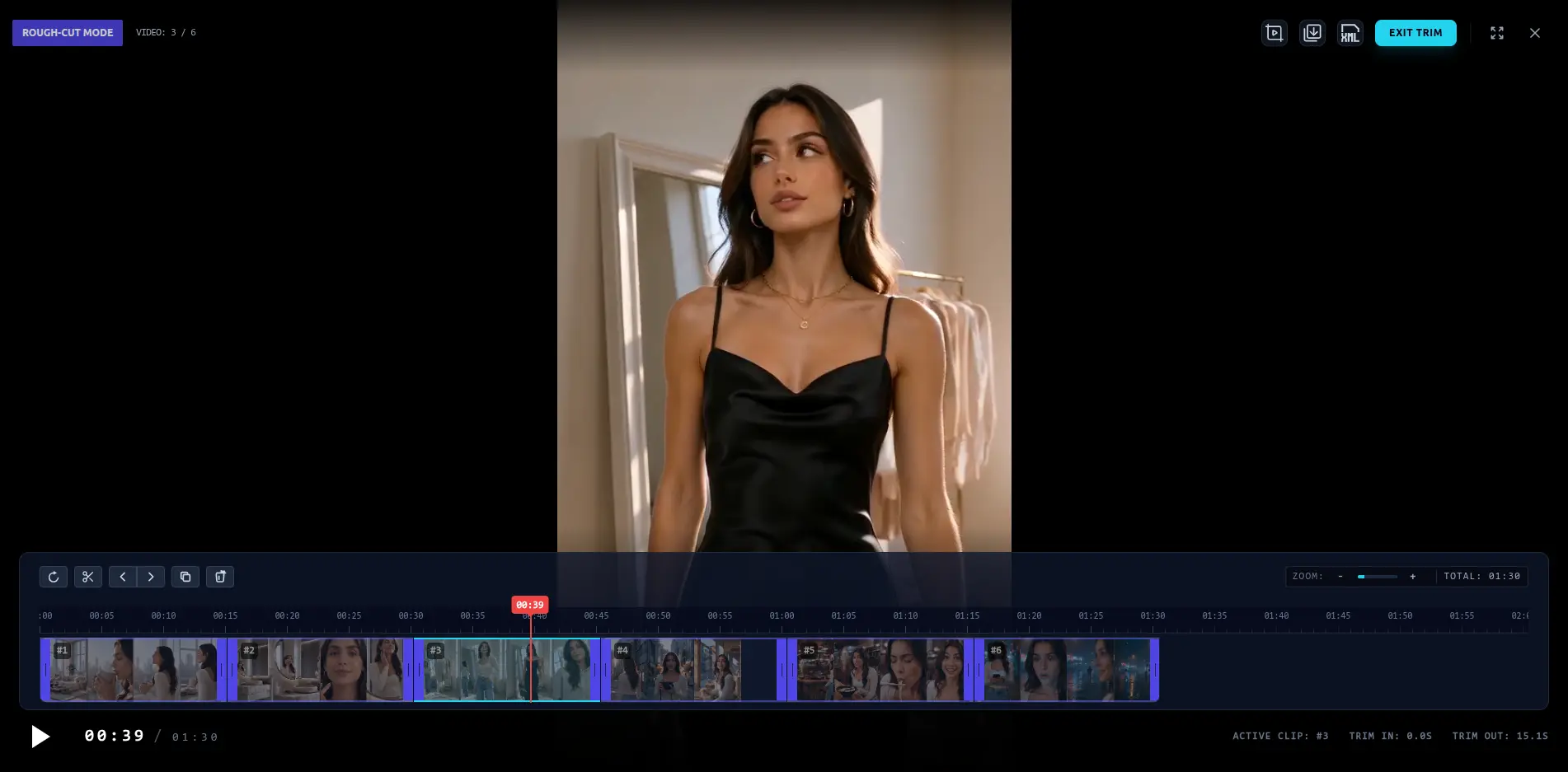 Rough-Cut Viewer UI Workframe